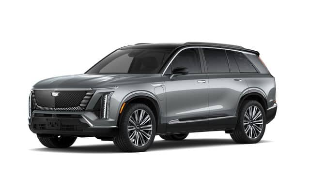 2026 Vistiq Premium Luxury