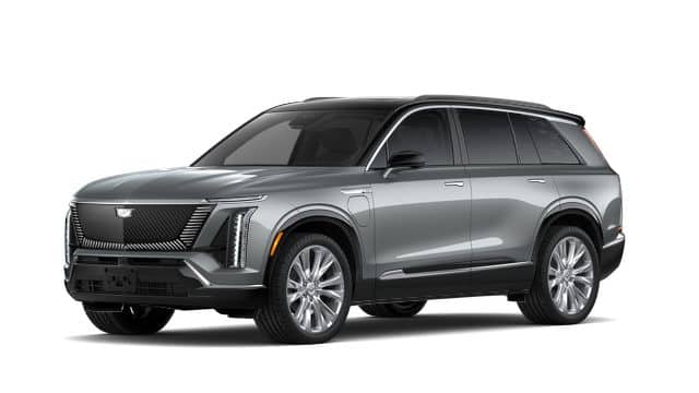 2026 Vistiq Premium Luxury