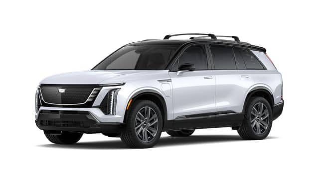 2026 Vistiq Sport
