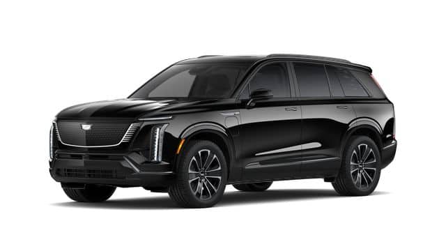 2026 Vistiq