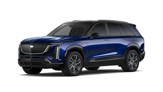 2026 Vistiq Sport