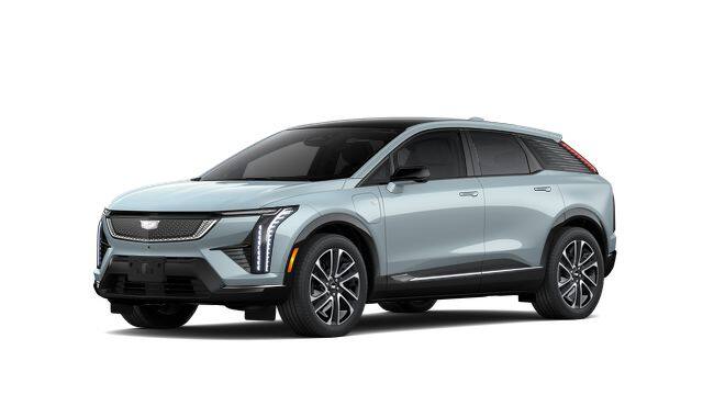 2026 Optiq